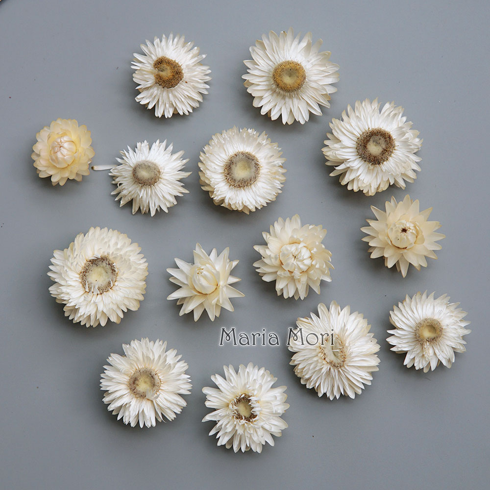 天然のドライでカラフルな菊の花輪,手作りのヘアアクセサリー, - Candle Making At Home のレビューと価格
