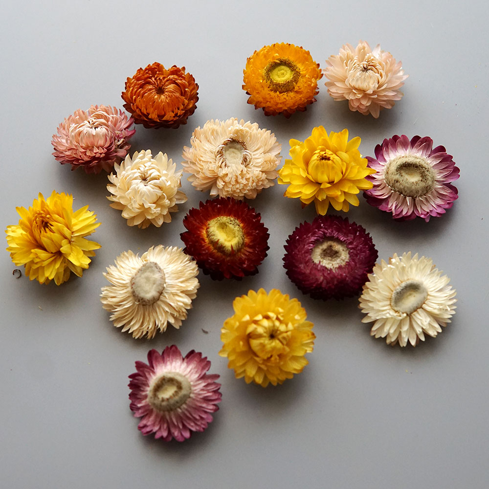 天然のドライでカラフルな菊の花輪,手作りのヘアアクセサリー, - Candle Making At Home のレビューと価格