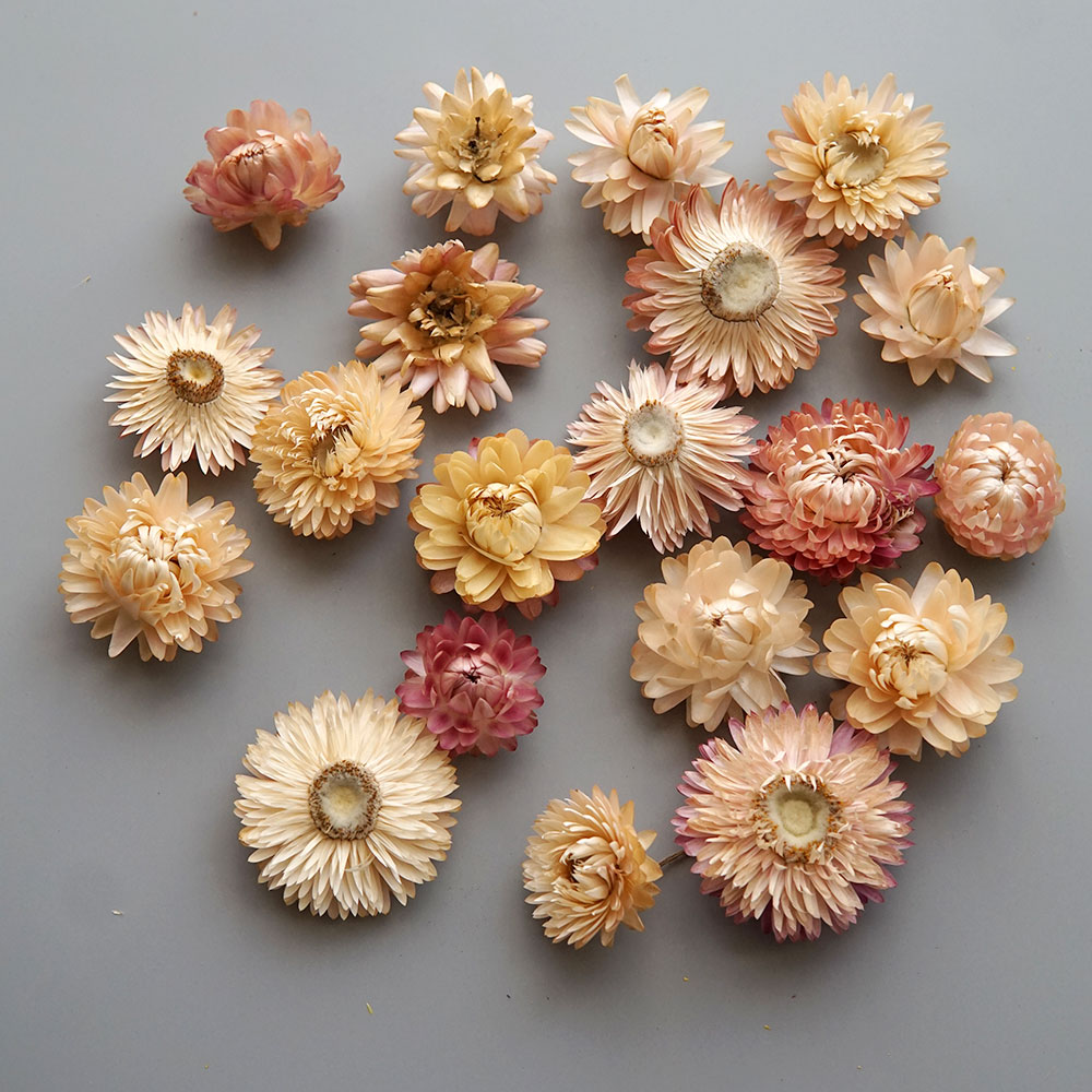 天然のドライでカラフルな菊の花輪,手作りのヘアアクセサリー, - Candle Making At Home のレビューと価格