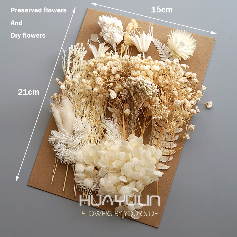1 パック人工植物ドライ本物の花プリザーブド材料エポキシ樹脂 - Candle Making At Home のレビューと価格